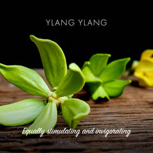 Load image into Gallery viewer, Ylang Ylang Soap Bar