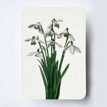 Load image into Gallery viewer, Snowdrops Greeting Card