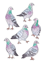 Load image into Gallery viewer, Pigeons Print
