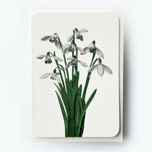 Load image into Gallery viewer, Snowdrops Greeting Card
