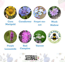 Load image into Gallery viewer, Make Your Own Seedballs Kit
