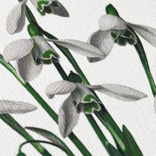 Load image into Gallery viewer, Snowdrops Greeting Card
