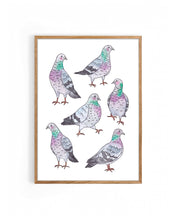 Load image into Gallery viewer, Pigeons Print
